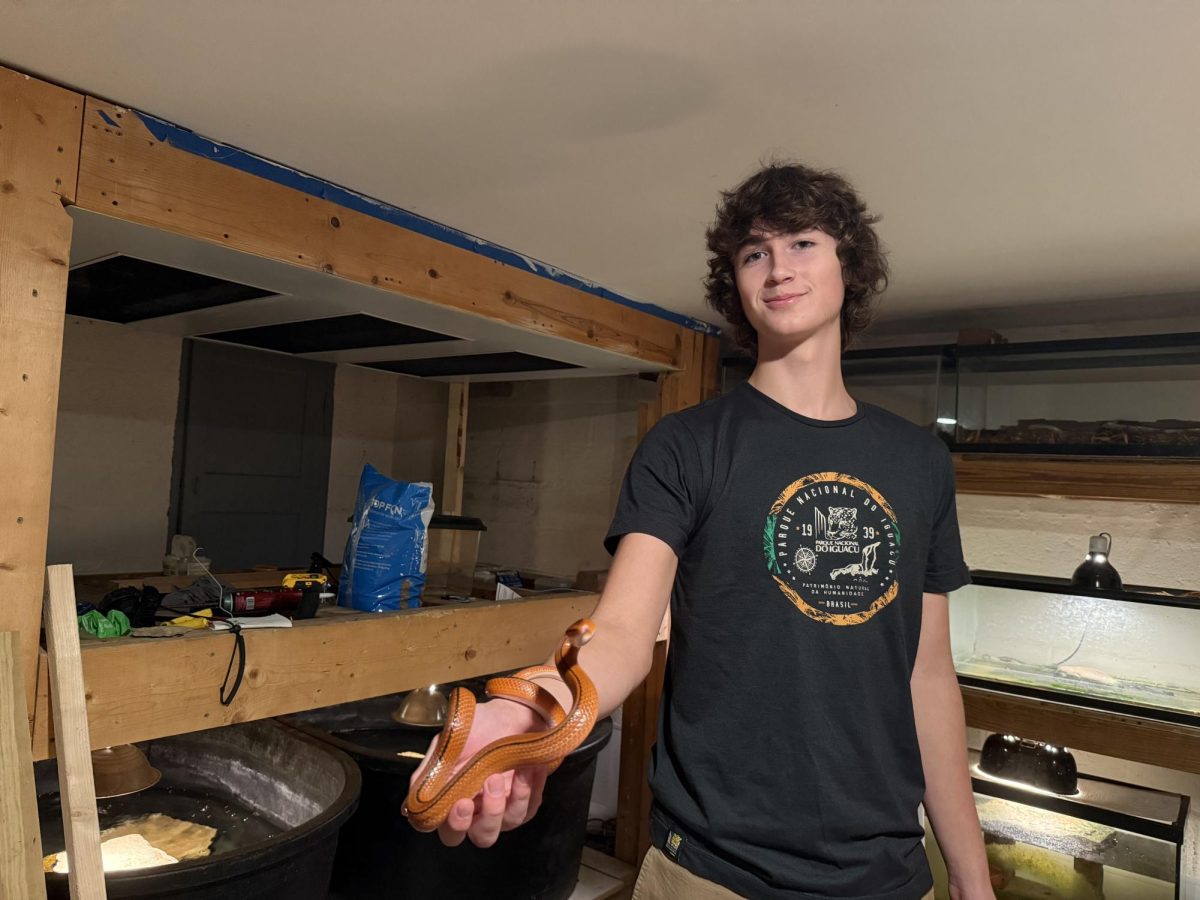 Selig shows off one of the many snakes in his family’s care.